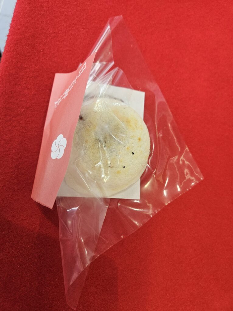Close-up of a freshly grilled Umegae Mochi from Yorozuya held in the right hand near Dazaifu Station — the golden-brown surface and rising steam capture the warmth and aroma perfectly.