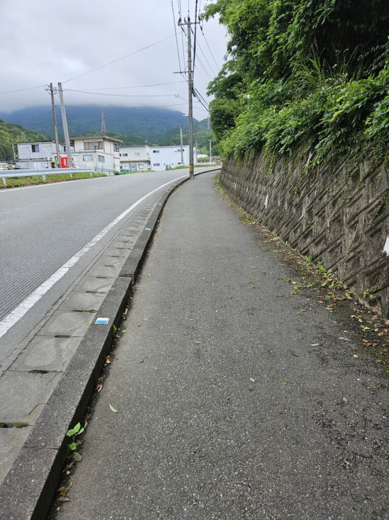 The gentle slope leading to Kamado Shrine in June, like a mini hiking trail through the forest.