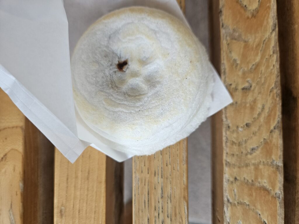 Close-up of a Umegae Mochi from Teradaya, wrapped in white paper. The smooth, pure-white surface of the mochi peeks through the wrapper, conveying an elegant and gentle feel unique to this traditional Dazaifu sweet.
