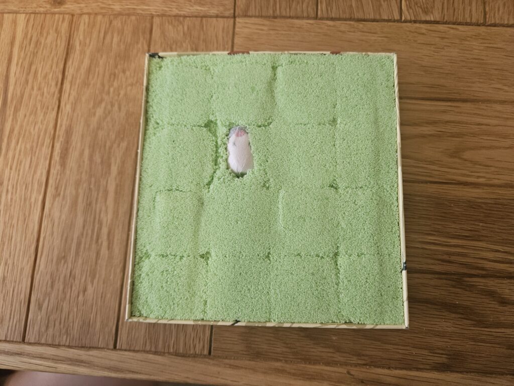 Uso Mochi from Baien in Dazaifu displayed on a table, featuring green rice cakes and a small wooden uso bird charm.