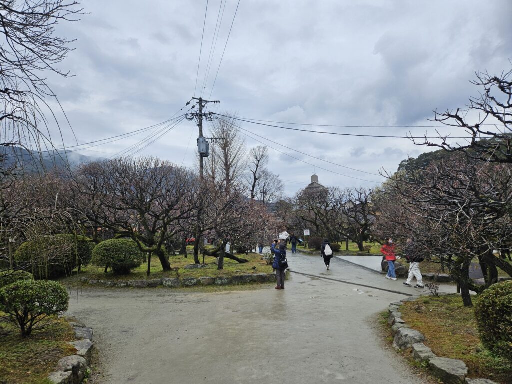 North Garden behind the dazaifu tenmangu main hall, usually stunning in peak season, but still quiet on February 11, 2026.