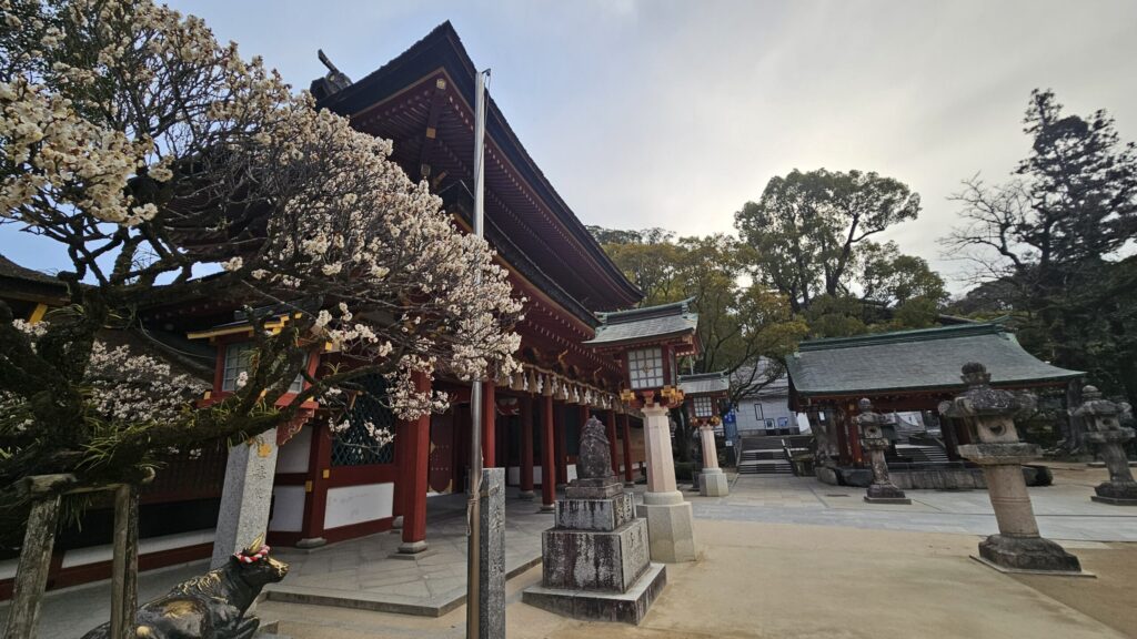 Romon gate framed by white plum blossoms at Dazaifu Tenmangu on February 20, 2026, a classic early spring scene.