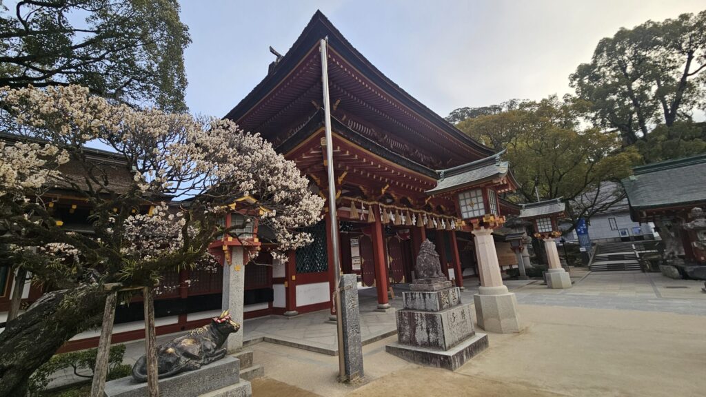 Romon gate framed by white plum blossoms at Dazaifu Tenmangu on February 20, 2026, a classic early spring scene.
