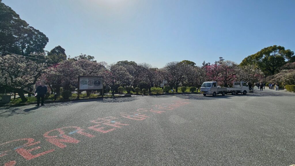 Wide view of Higashi Shinen Garden at Dazaifu Tenmangu on February 23, 2026, with colorful plum blossoms in full bloom.